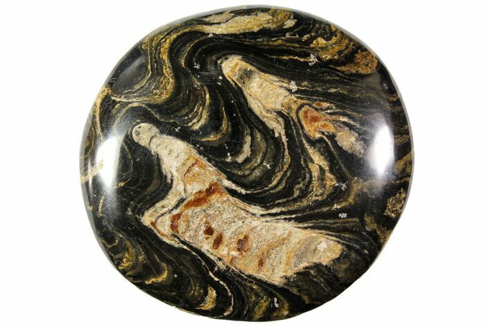 Polished Stromatolite (Greysonia) Pebble - Bolivia #113500